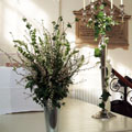 Green Academy - florists: events
